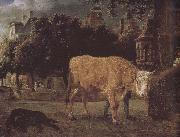Jan van der Heyden, Square cattle